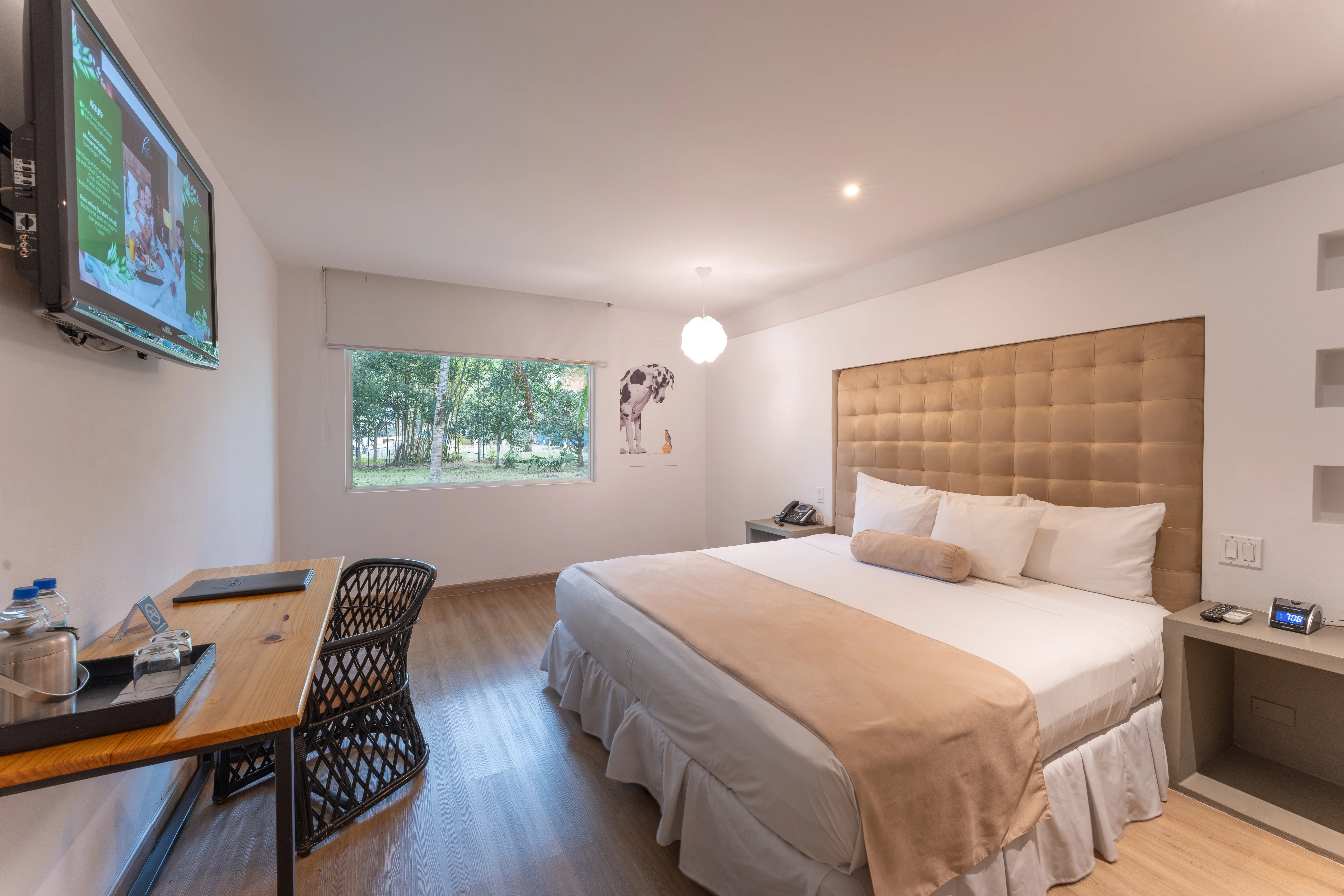 Estándar  1 cama