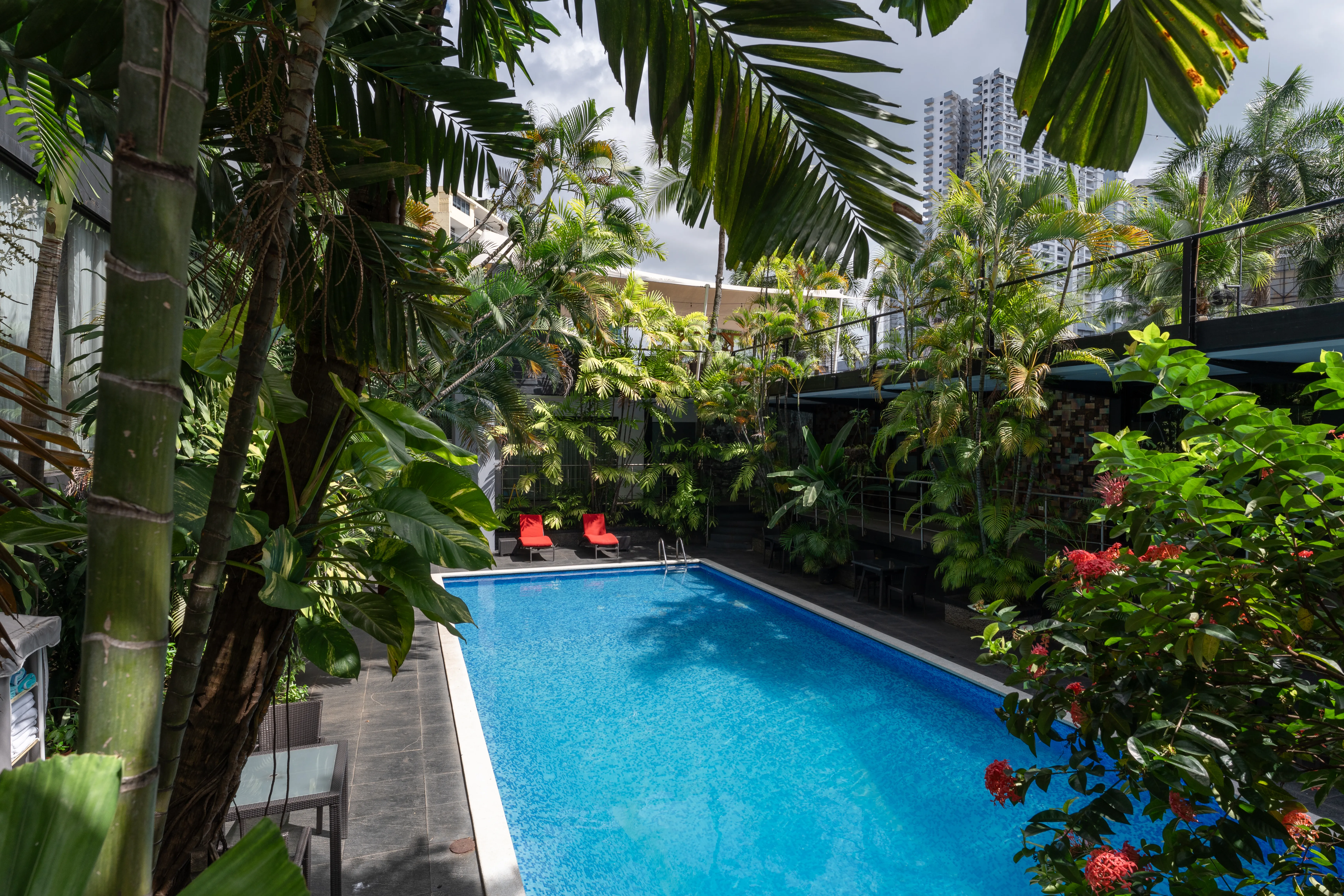 Piscina y  Jacuzzi 